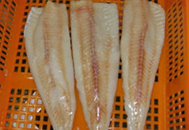 Whiting fish fillet image