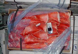 alfonsino hgt image