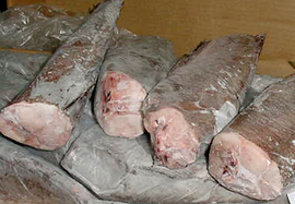 Brotola hgt image
