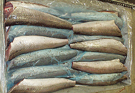 Whiting fish hgt image