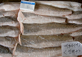 Hake hgt image