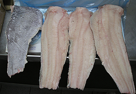 Hoki frozen fillet image