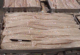 king klip fillet image