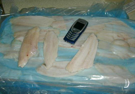 notothenia fillet image