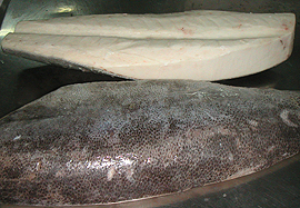 oil fish hgt image