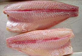 pangasius fish hgt image