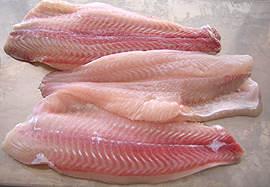 pangasius fish fillet image