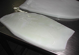 Giant Squid filet image