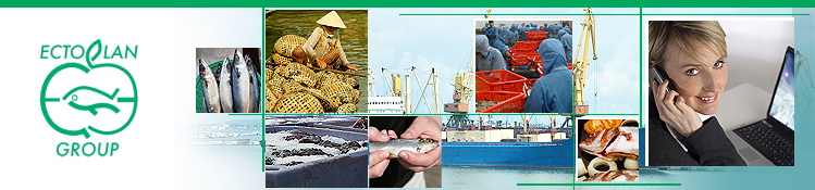 frozen fish import image