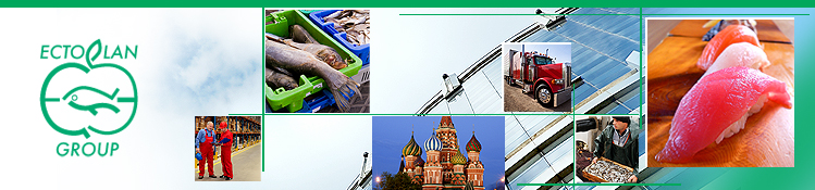 frozen fish import image