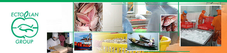 frozen fish import image