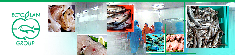 frozen fish import image
